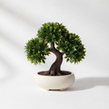 Bonsai Desk Figurine